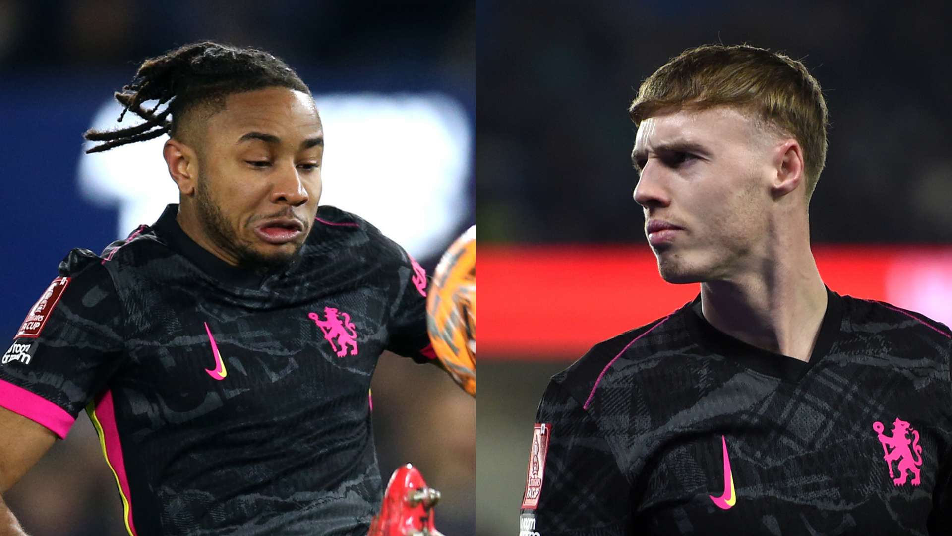 的职业生涯 的职业生涯